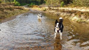 Big puddle!