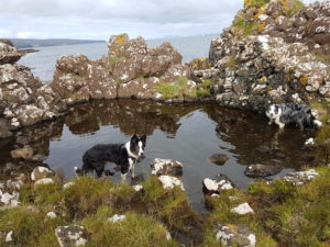 Coastal swimming pool