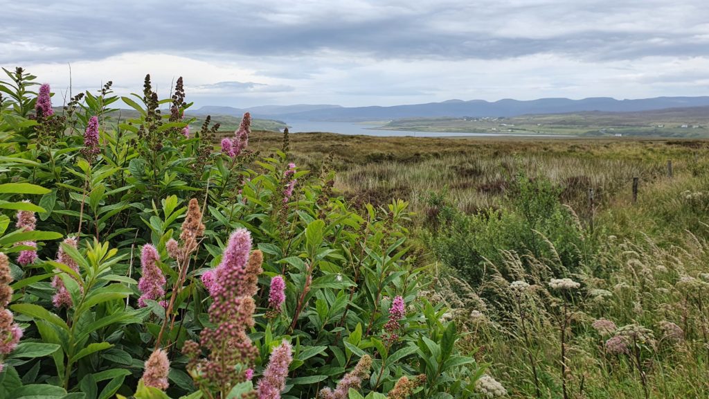 Views to Loch Greshornish