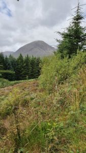 Beinn Na Callaich from the old A87