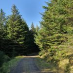 Glen Brittle Forest