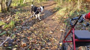 Nature Trails around Portree