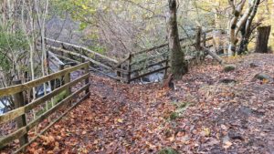 Nature Trails around Portree