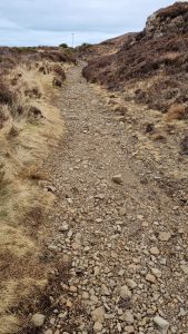 The rocky bumpy path