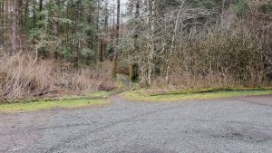 The start of the Portree Forest Walk