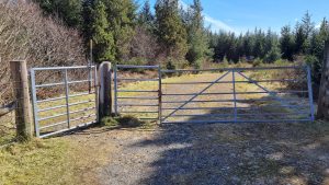 The gates at the start