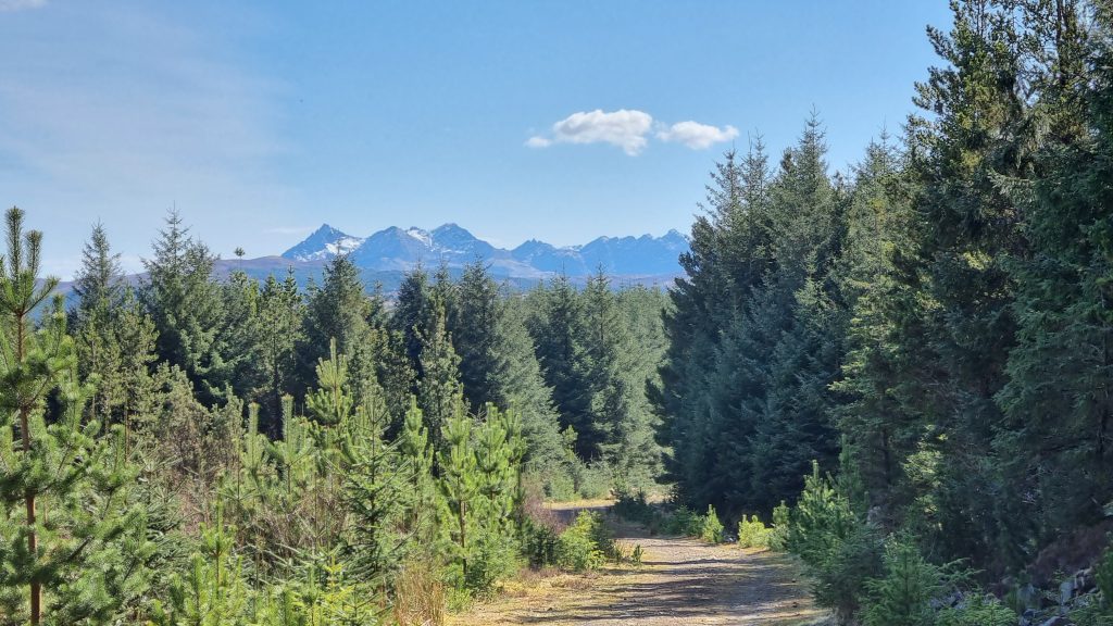 The Cuillin ridge from the Struan Hill Road Forest Track