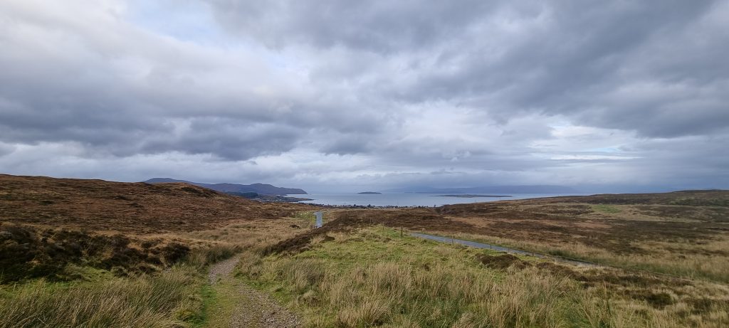 A grassy section of the track