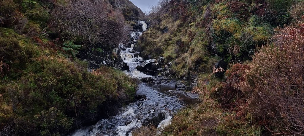 Roadside waterfall