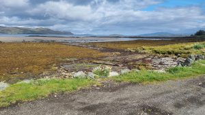 Road surface and verges